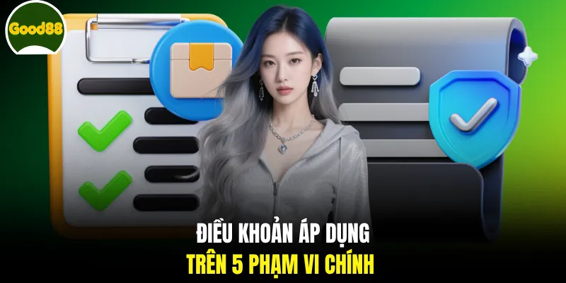Điều khoản áp dụng trên 5 phạm vi chính